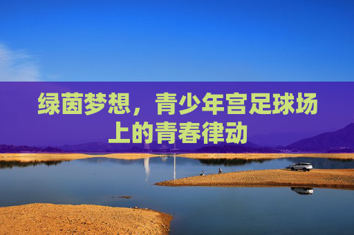 绿茵梦想，青少年宫足球场上的青春律动