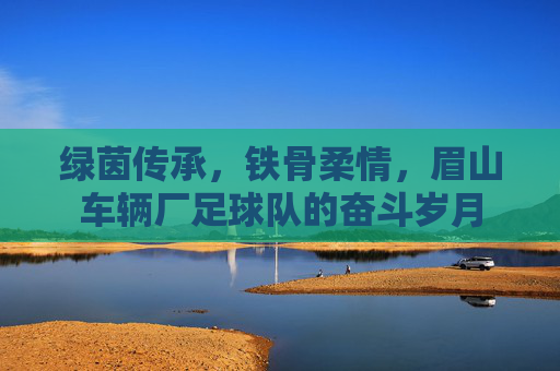 绿茵传承,铁骨柔情,眉山车辆厂足球队的奋斗岁月
