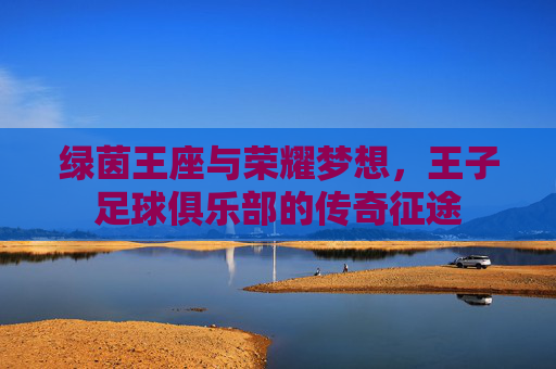 绿茵王座与荣耀梦想，王子足球俱乐部的传奇征途