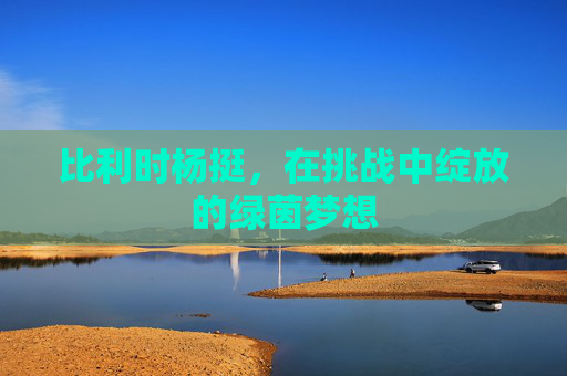 比利时杨挺，在挑战中绽放的绿茵梦想