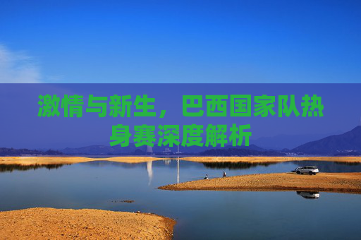 激情与新生，巴西国家队热身赛深度解析