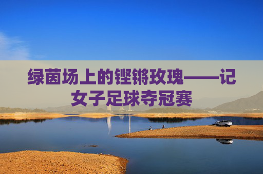 绿茵场上的铿锵玫瑰——记女子足球夺冠赛