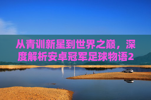 从青训新星到世界之巅，深度解析安卓冠军足球物语2的足球经理乐趣