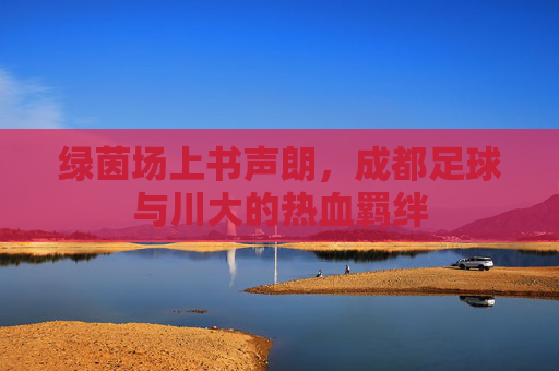 绿茵场上书声朗,成都足球与川大的热血羁绊