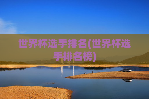 世界杯选手排名(世界杯选手排名榜)