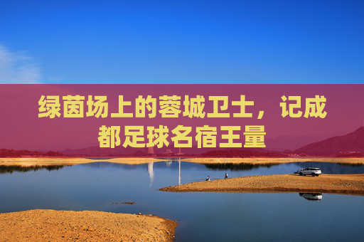 绿茵场上的蓉城卫士，记成都足球名宿王量