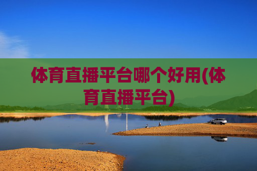 体育直播平台哪个好用(体育直播平台)