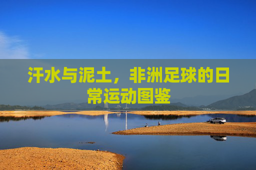 汗水与泥土，非洲足球的日常运动图鉴
