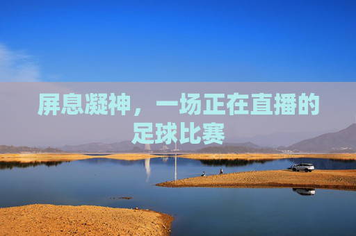 屏息凝神，一场正在直播的足球比赛