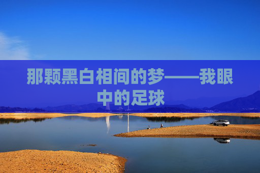 那颗黑白相间的梦——我眼中的足球