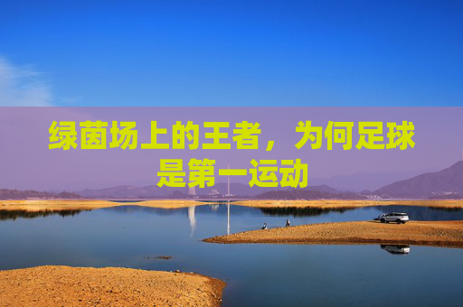 绿茵场上的王者,为何足球是第一运动