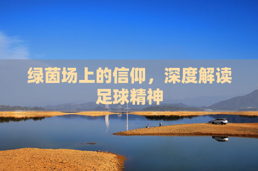 绿茵场上的信仰,深度解读足球精神