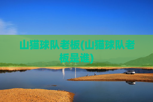 山猫球队老板(山猫球队老板是谁)