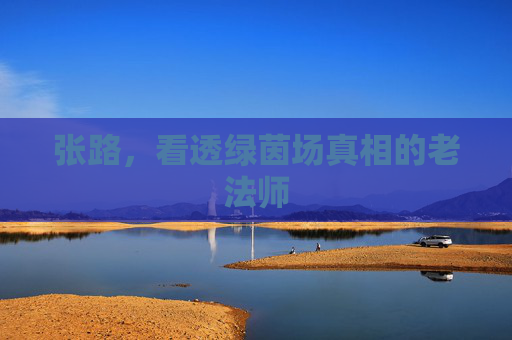 张路,看透绿茵场真相的老法师