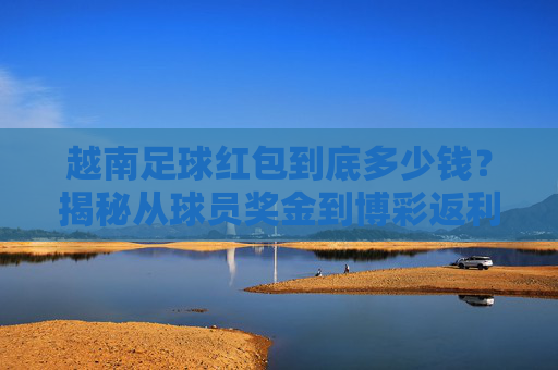 越南足球红包到底多少钱?揭秘从球员奖金到博彩返利的真实内幕