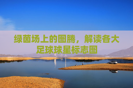 绿茵场上的图腾,解读各大足球球星标志图