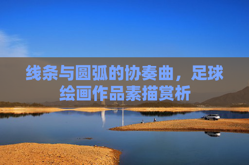 线条与圆弧的协奏曲,足球绘画作品素描赏析