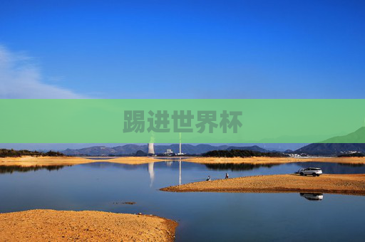 踢进世界杯