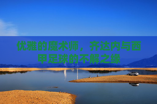优雅的魔术师,齐达内与西甲足球的不解之缘