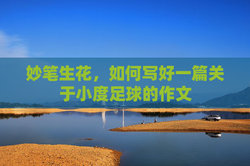妙笔生花,如何写好一篇关于小度足球的作文