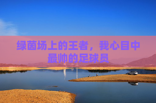 绿茵场上的王者,我心目中最帅的足球员