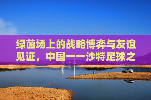 绿茵场上的战略博弈与友谊见证,中国一一沙特足球之战