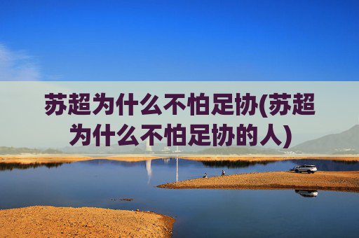 苏超为什么不怕足协(苏超为什么不怕足协的人)