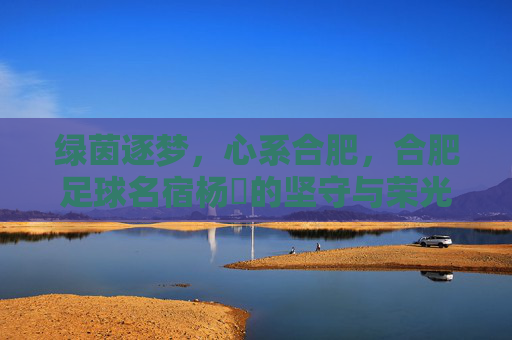绿茵逐梦,心系合肥,合肥足球名宿杨燚的坚守与荣光