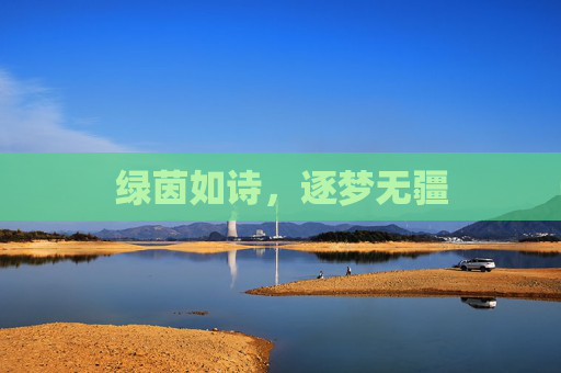 绿茵如诗，逐梦无疆