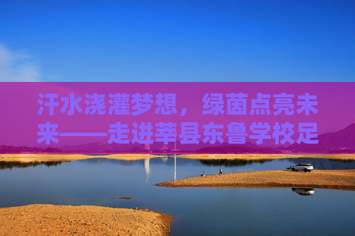 汗水浇灌梦想,绿茵点亮未来——走进莘县东鲁学校足球场