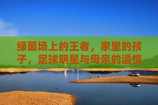 绿茵场上的王者,家里的孩子,足球明星与母亲的温情合影