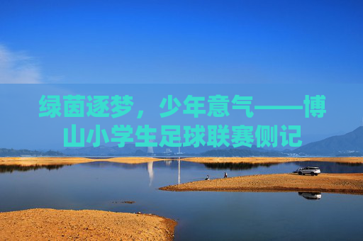 绿茵逐梦,少年意气——博山小学生足球联赛侧记