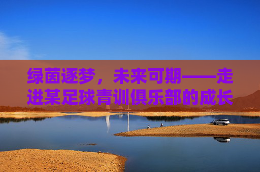 绿茵逐梦，未来可期——走进某足球青训俱乐部的成长之路