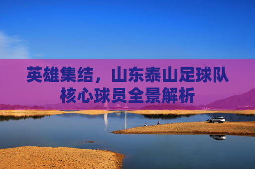 英雄集结，山东泰山足球队核心球员全景解析