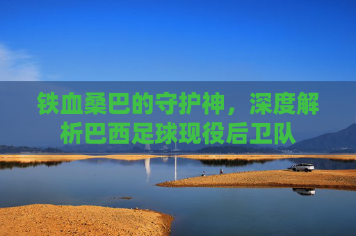 铁血桑巴的守护神，深度解析巴西足球现役后卫队