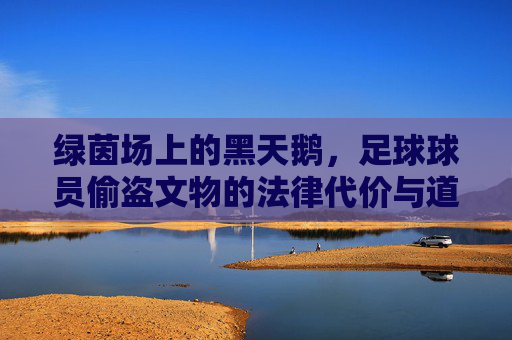 绿茵场上的黑天鹅,足球球员偷盗文物的法律代价与道德审视