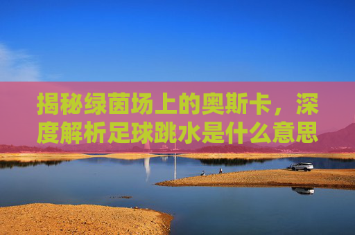 揭秘绿茵场上的奥斯卡,深度解析足球跳水是什么意思