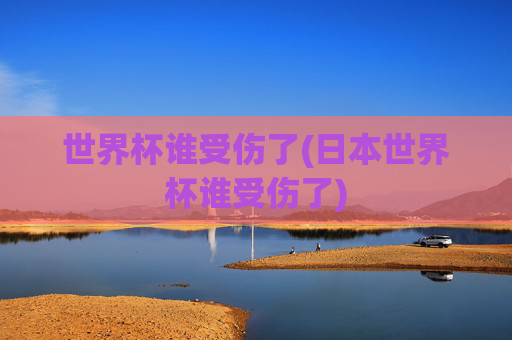 世界杯谁受伤了(日本世界杯谁受伤了)