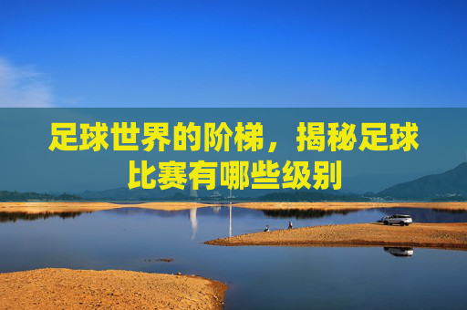 足球世界的阶梯，揭秘足球比赛有哪些级别