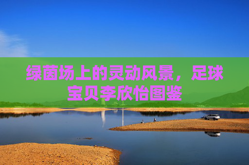 绿茵场上的灵动风景,足球宝贝李欣怡图鉴