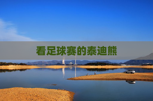 看足球赛的泰迪熊