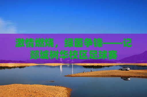 激情燃烧,绿茵争锋——记郯城树华校区足球赛