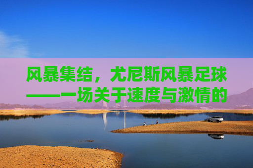 风暴集结,尤尼斯风暴足球——一场关于速度与激情的绿茵狂想