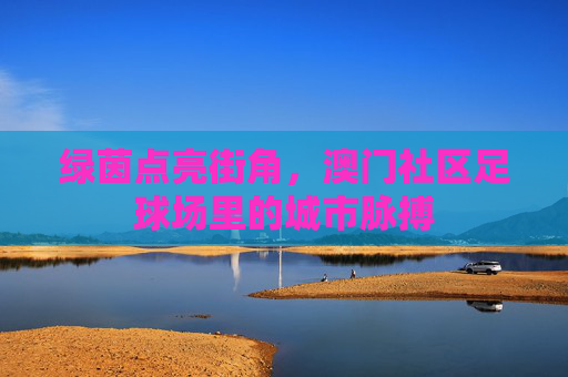 绿茵点亮街角,澳门社区足球场里的城市脉搏