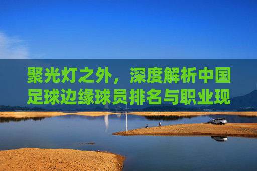 聚光灯之外，深度解析中国足球边缘球员排名与职业现状
