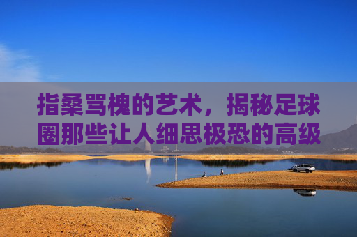 指桑骂槐的艺术,揭秘足球圈那些让人细思极恐的高级黑