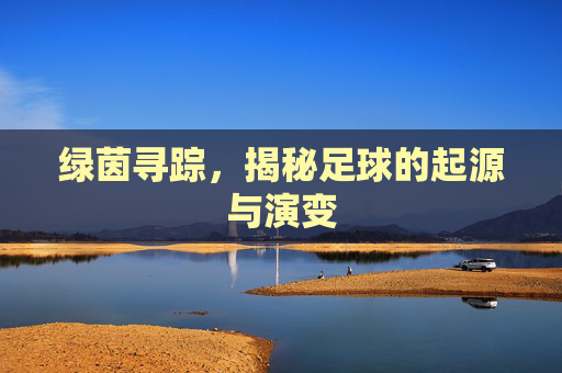 绿茵寻踪,揭秘足球的起源与演变