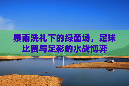 暴雨洗礼下的绿茵场,足球比赛与足彩的水战博弈