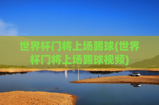 世界杯门将上场踢球(世界杯门将上场踢球视频)