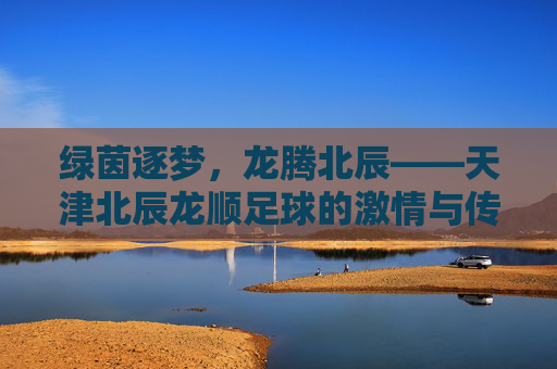 绿茵逐梦，龙腾北辰——天津北辰龙顺足球的激情与传承
